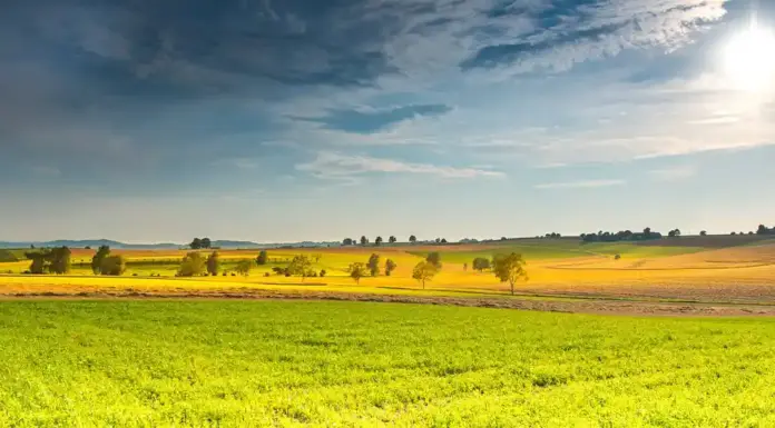 左宗棠的八句话