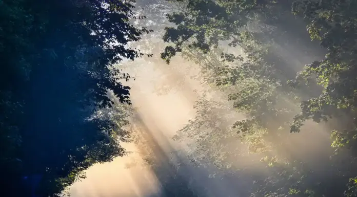 doube-itv部署IPTV直播