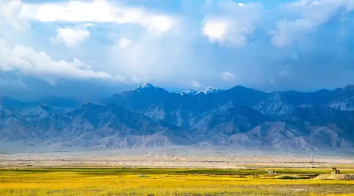 尼采智慧——幸福