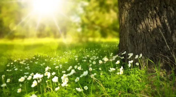 📖《思考,快与慢》—— 了解你是如何被自己大脑“骗”的