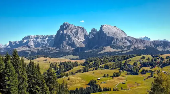盆景天然防虫手段——烟草液